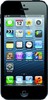 Apple iPhone 5 32GB - Сальск